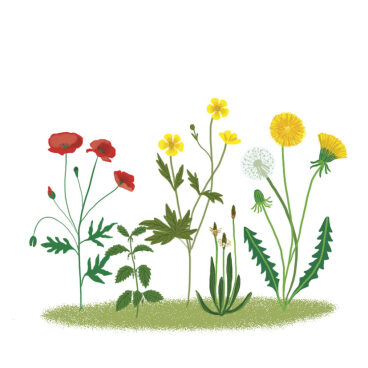 Vive la nature, Fleurus, 2022