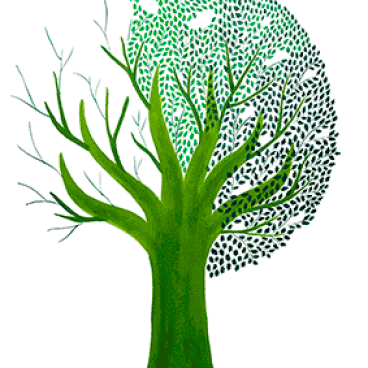Arbres et oiseaux